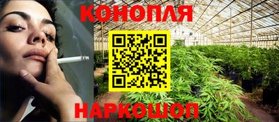 шишки Кинель