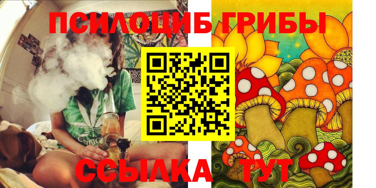 Псилоцибиновые грибы Psilocybe Коммунар